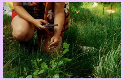 The Intersection of Cycling and Urban Foraging: A Guide to Two-Wheeled Treasure Hunts